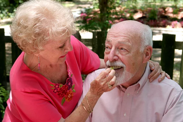 Yaşlılar piknik - tadına — Stok fotoğraf