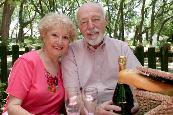 Piknik idősek együtt — Stock Fotó