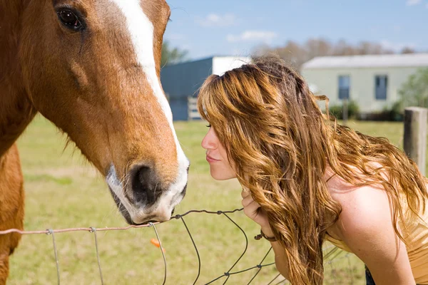 Kiss for Horse — Stock Photo, Image