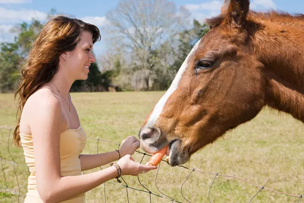 Adolescente menina alimenta cavalo — Fotografia de Stock