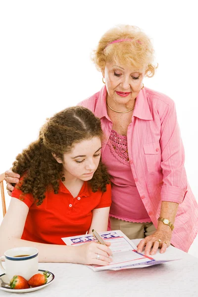 Grandma Helps Young Voter Stock Image