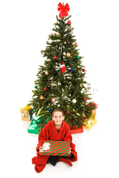 Vánoční strom a boy — Stock fotografie