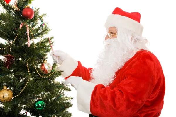 Santa zdobení vánoční strom — Stock fotografie