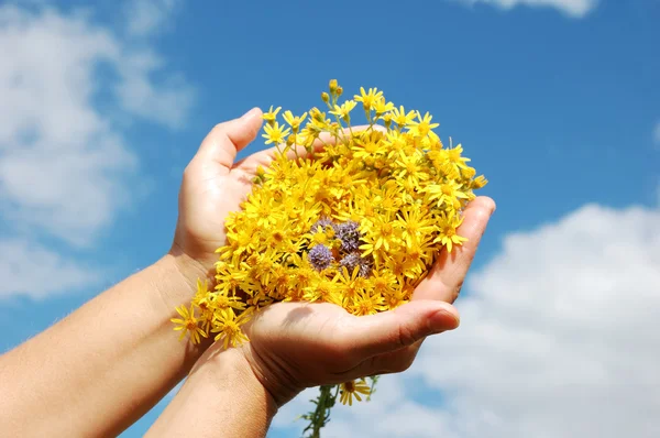Flowers in their hands against a blue sky. — Stock Photo, Image