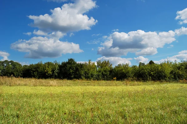 Zielony łąka przeciw błękitne niebo. — Zdjęcie stockowe