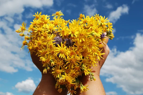 Heart of flowers in their hands against a blue sky. — Stock Photo, Image
