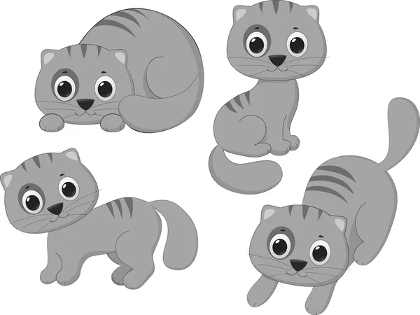 stock vector Gray cat in different poses