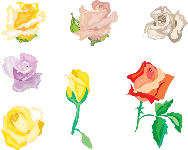 一連のデザイン要素のバラ — ストックベクタ