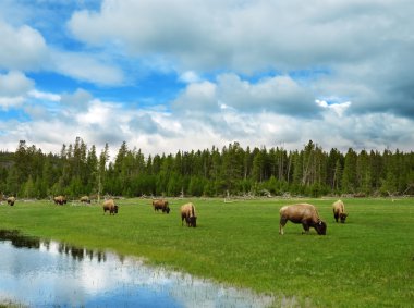 Mountain valley with river and trees clipart