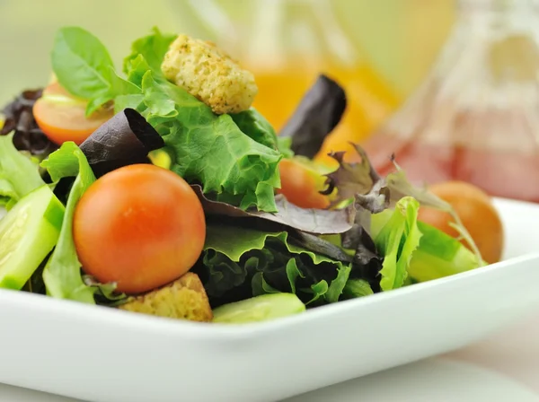 Salada, close-up — Fotografia de Stock