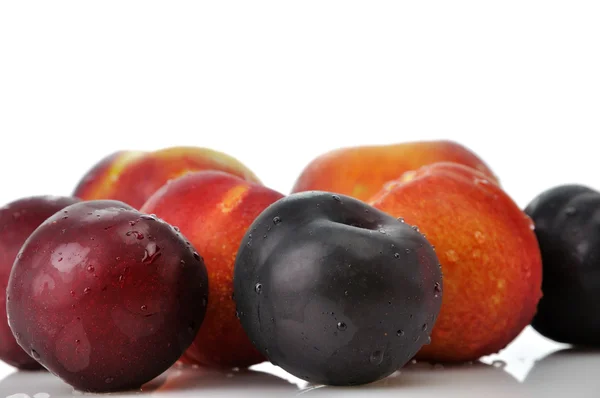 Pruimen, perziken en nectarines — Stockfoto