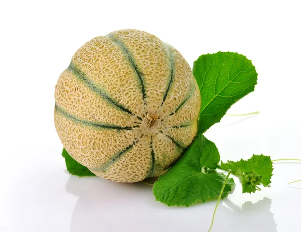 Melone mit Weinstock — Stockfoto
