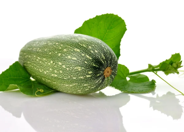 Zucchini — Stock Photo, Image