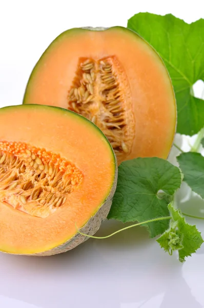 Melon with vine — Stock Photo, Image