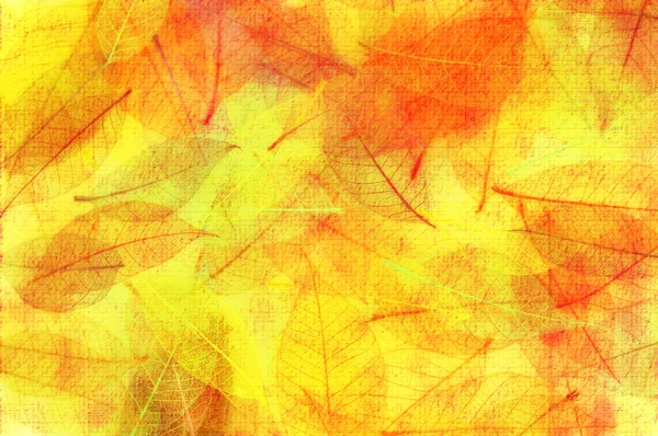 秋叶背景 — 图库照片