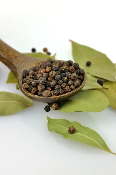 Pimienta negra y hojas de laurel — Foto de Stock