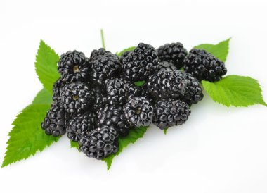 Blackberry