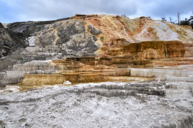 Mammoth Hot Springs in Yellowstone National Park clipart