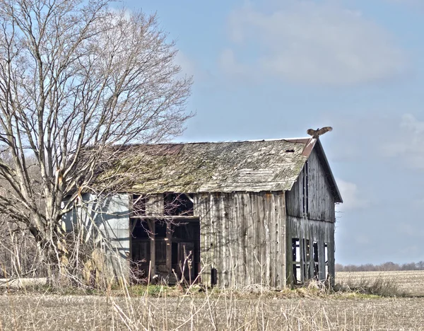 Antiguo granero — Foto de Stock
