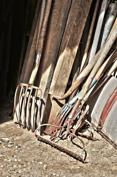 stock image Gardening tools