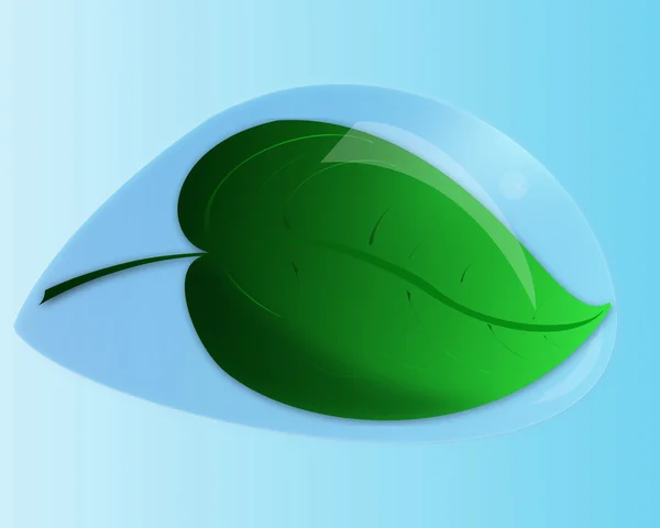 stock image Water drop with leaf