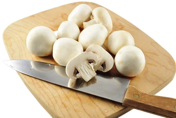 stock image White mushrooms