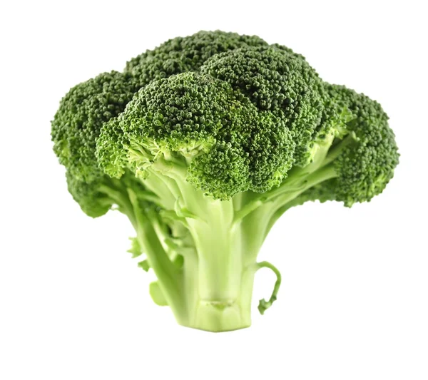 Repollo de brócoli — Foto de Stock