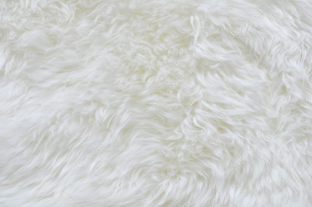 White fur Stock Photo by ©svetas 6604050