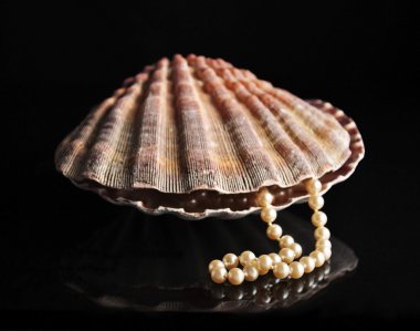 Pearls inside the shell clipart