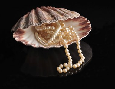 içine bir kabuklu deniz inci
