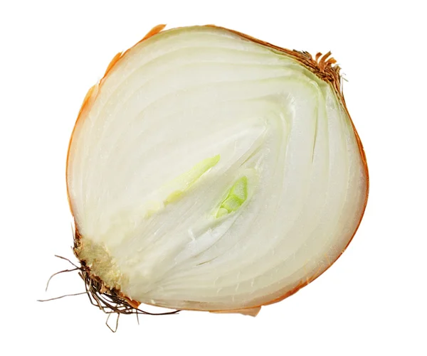 Cebolla fresca —  Fotos de Stock