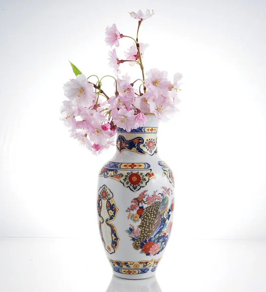 Kirschblüten und Vase — Stockfoto