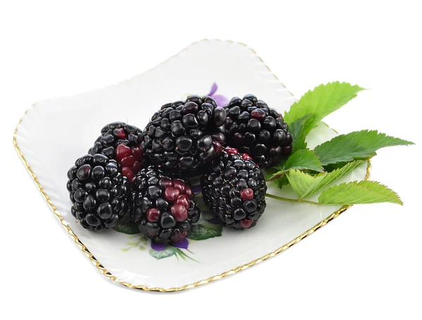 stock image Blackberry