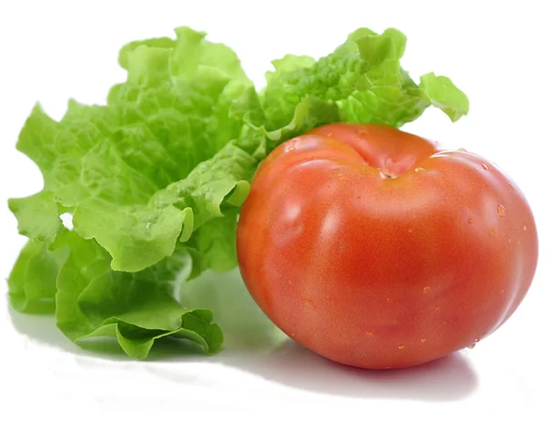 Tomate e alface — Fotografia de Stock