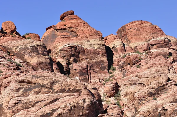 Червона скеля Каньйон — стокове фото