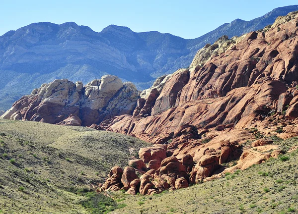 Canyon Red Rock — Photo