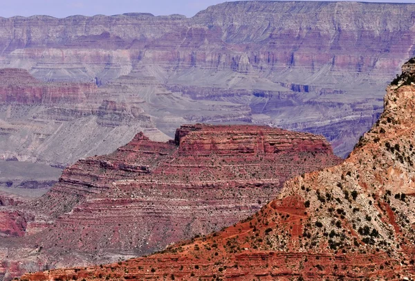 stock image Grand Canyon