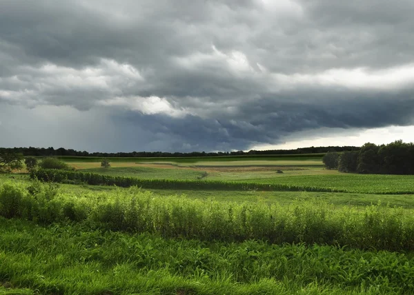 Буря над полем — стокове фото