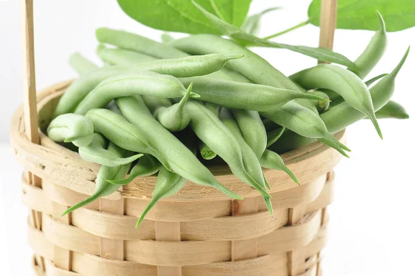 녹색 콩 — 스톡 사진