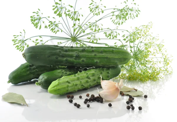 Pickle ingredients — Stock Photo, Image