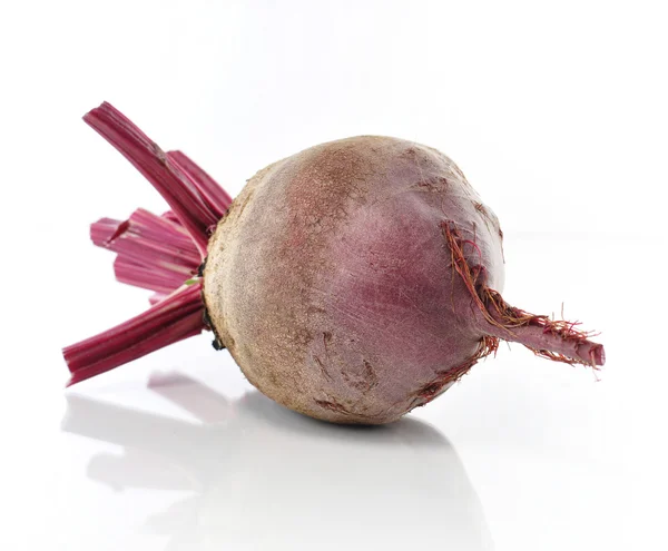 stock image Beet