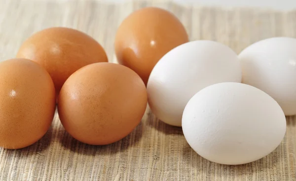 stock image Eggs