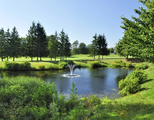 stock image Summer landscape