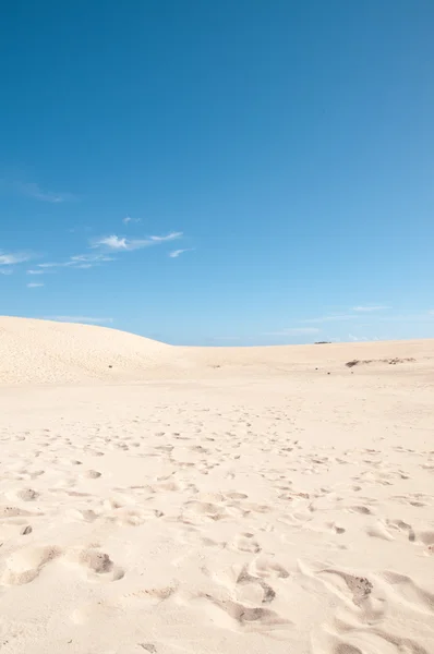 stock image Desierto