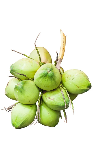 Vruchten; Green kokosnoot geïsoleerd op witte achtergrond — Stockfoto