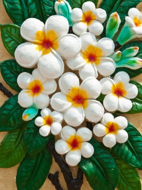 Plumeria duvar