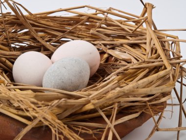 Eggs in a nest isolated on a white background