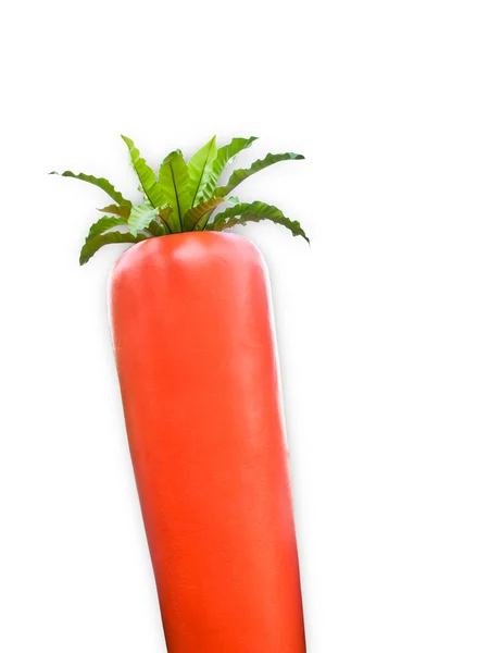 Big Carrot — Stock Photo, Image