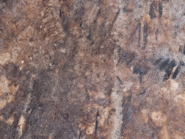 Шкіра буйвола текстурована для барабанної голівки — стокове фото