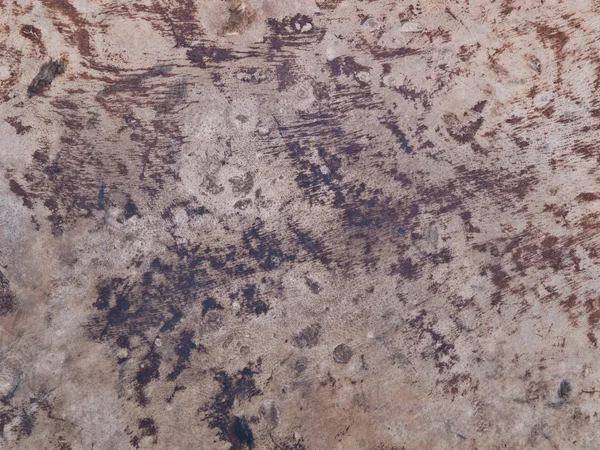 Шкіра буйвола текстурована для барабанної голівки — стокове фото